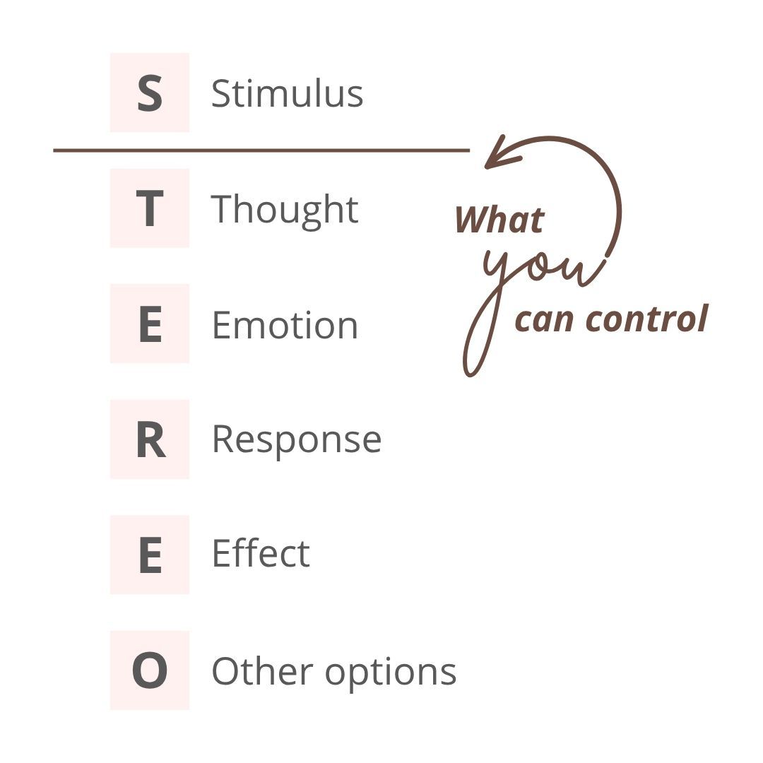 STEREO Map illustration explaining what you can control in your thinking, emotions, behavior, and choices