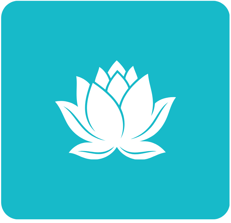 Icon 5