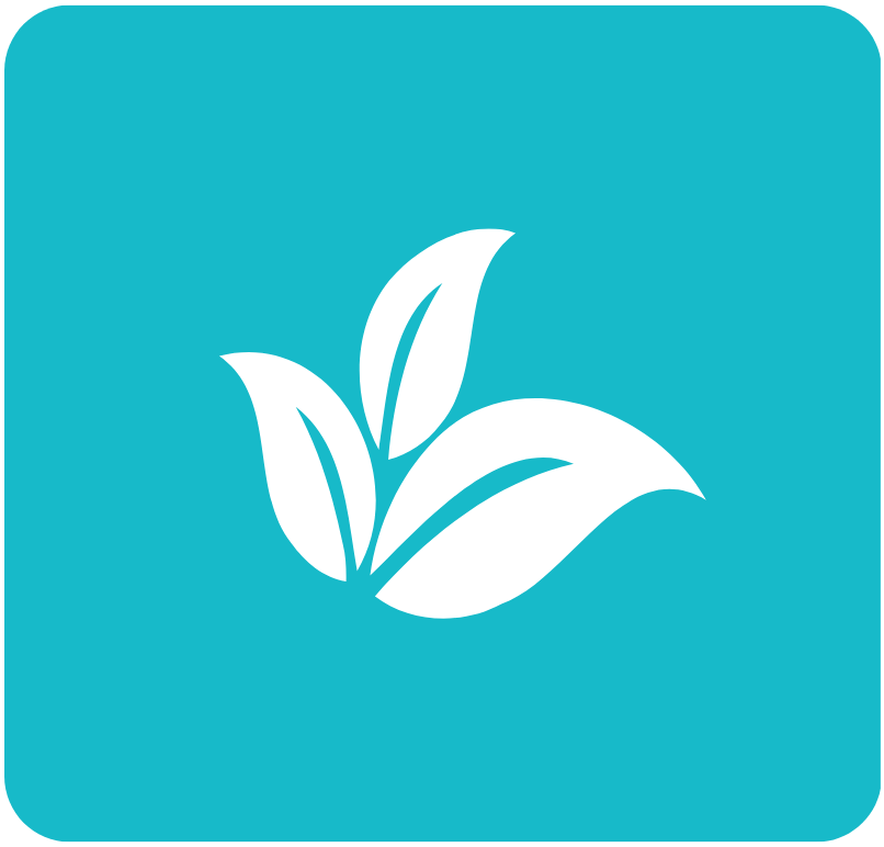 Icon 3