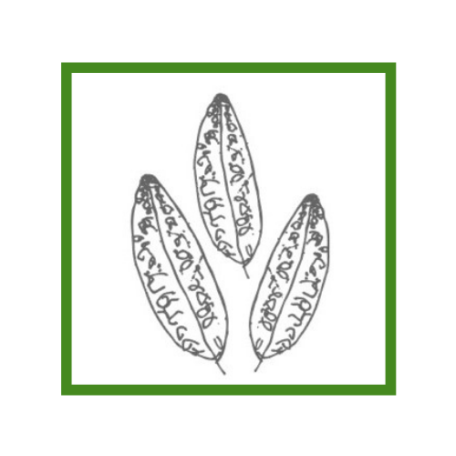 Header Logo