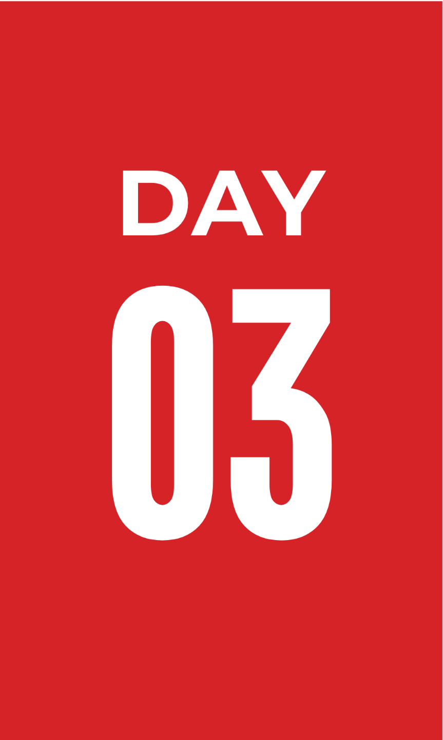 Day 03