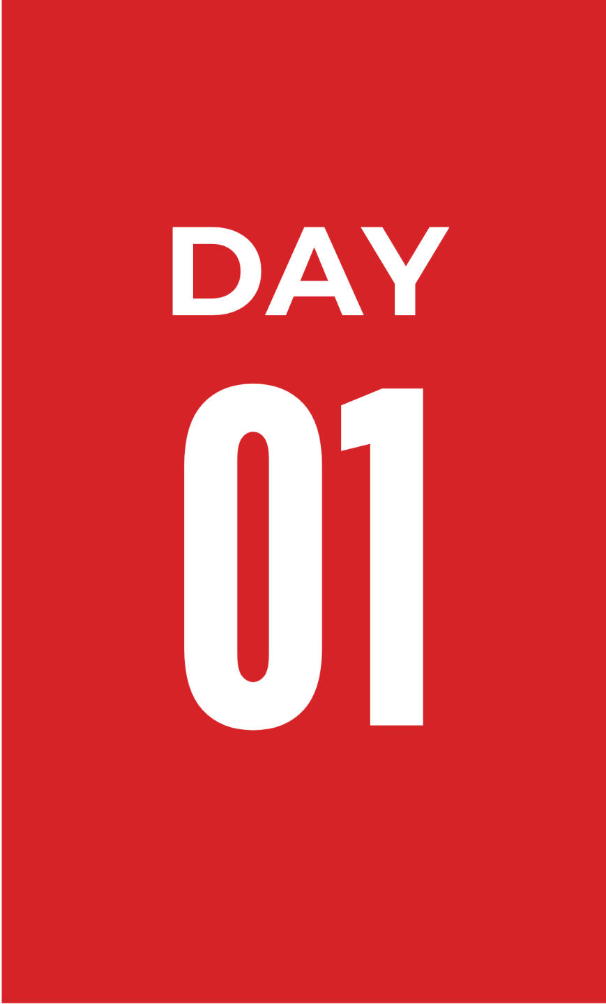 Day 01