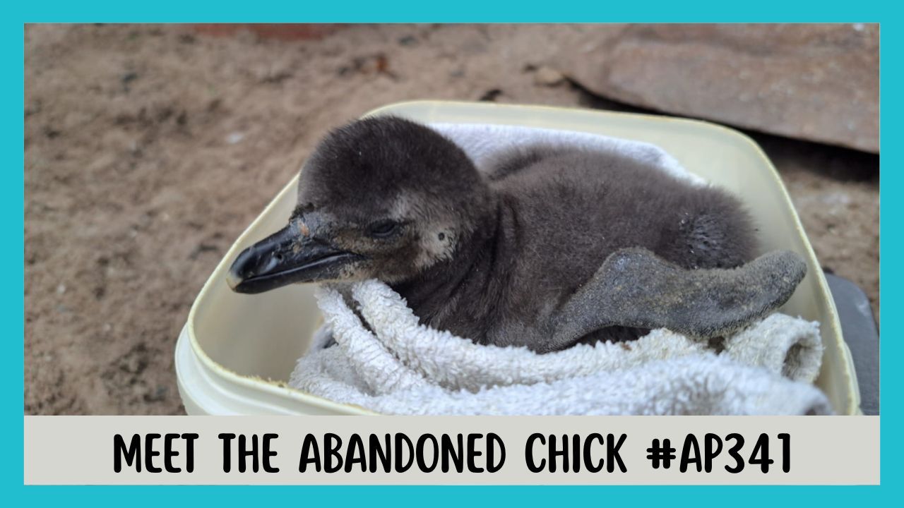 This is an image from upcourse