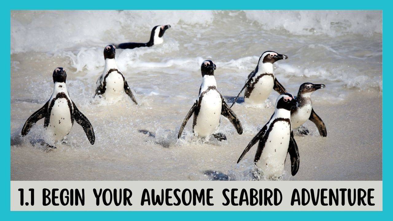 This is an image from upcourse