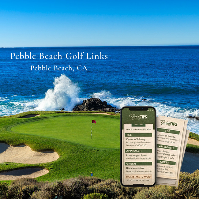 Ocean Dunes Golf Club | AI Powered Insights