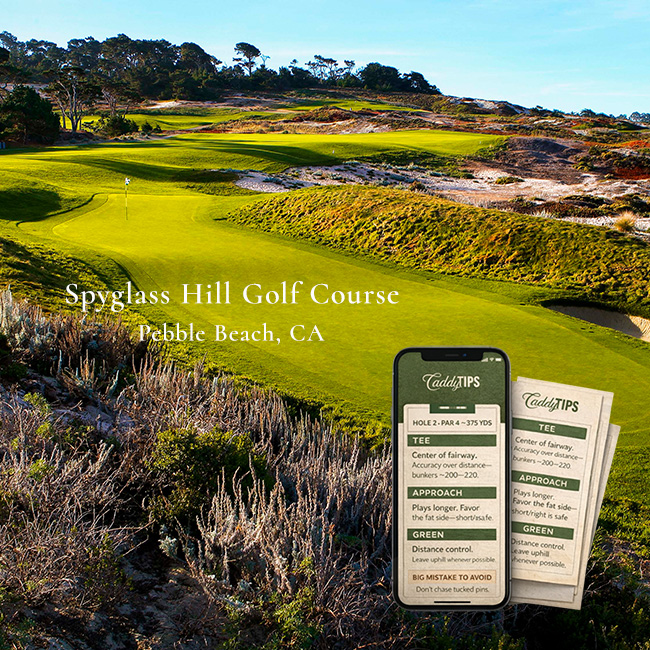 Ocean Dunes Golf Club | AI Powered Insights