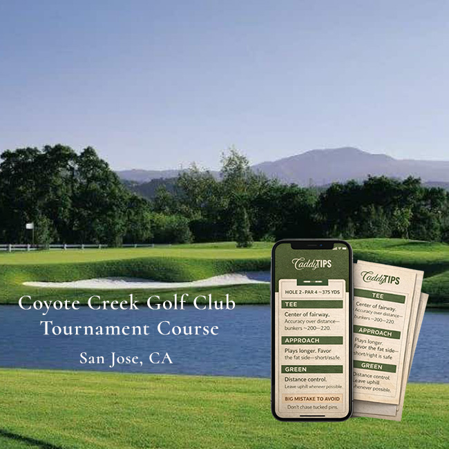 Ocean Dunes Golf Club | AI Powered Insights