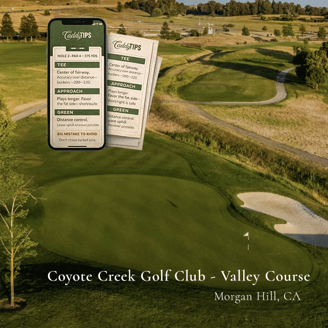 Ocean Dunes Golf Club | AI Powered Insights