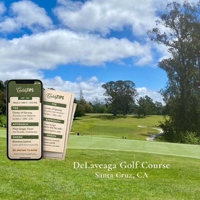 Ocean Dunes Golf Club | AI Powered Insights
