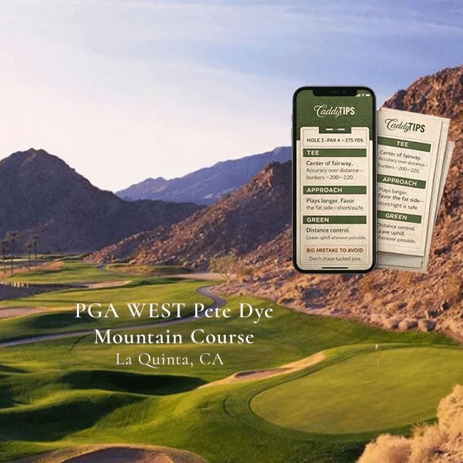 Ocean Dunes Golf Club | AI Powered Insights