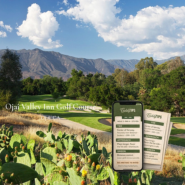 Ocean Dunes Golf Club | AI Powered Insights