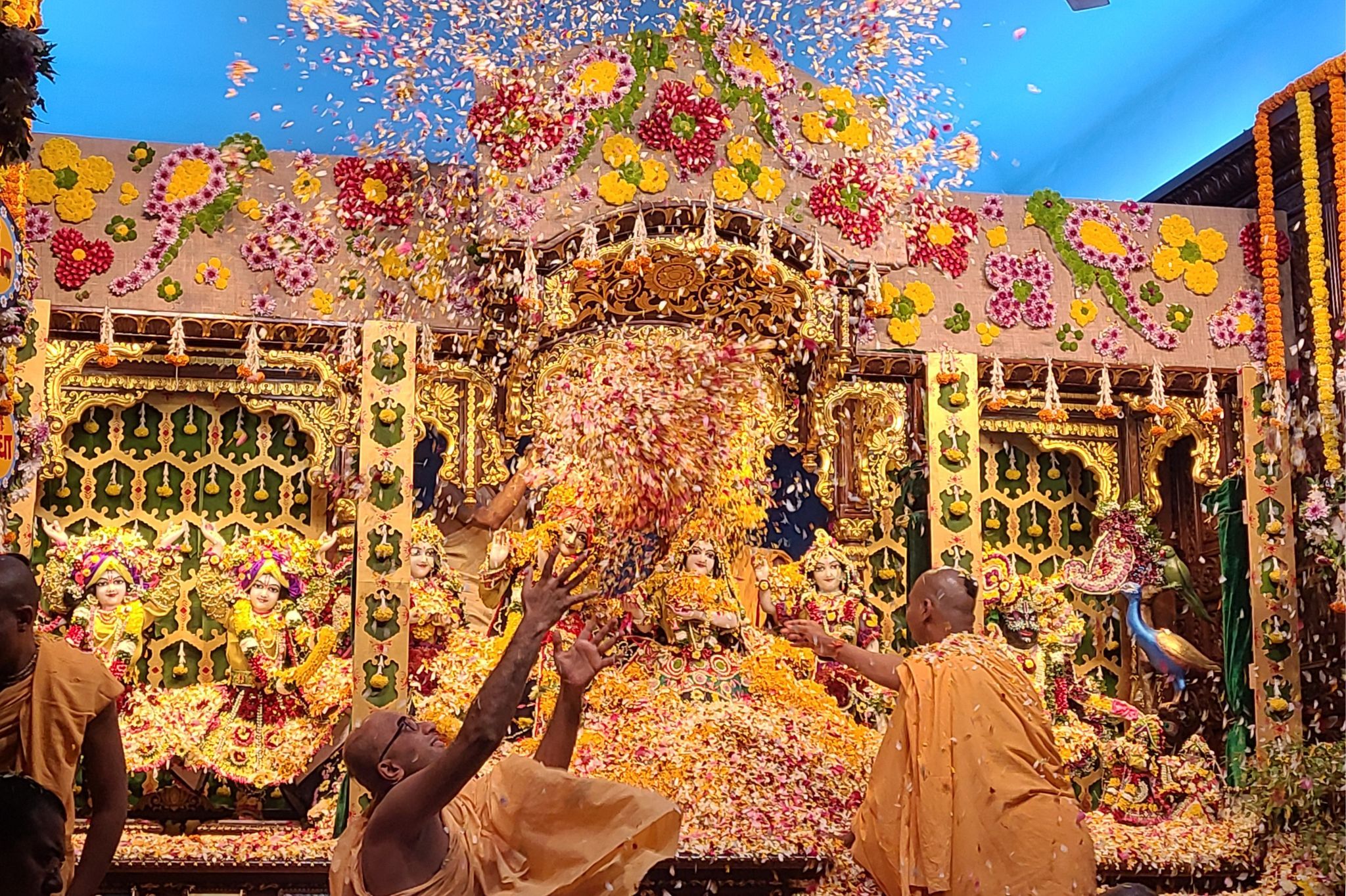 Annual Flower Festival at ISKCON Chowpatty Temple in Mumbai featuring deities adorned with vibrant floral decorations as devotees joyfully offer and shower flower petals as a traditional bhakti celebration.