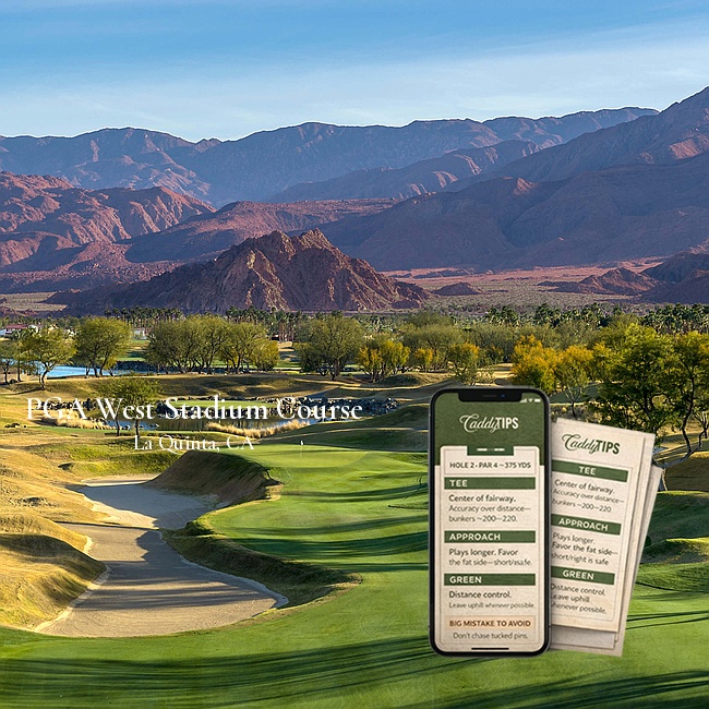 Ocean Dunes Golf Club | AI Powered Insights