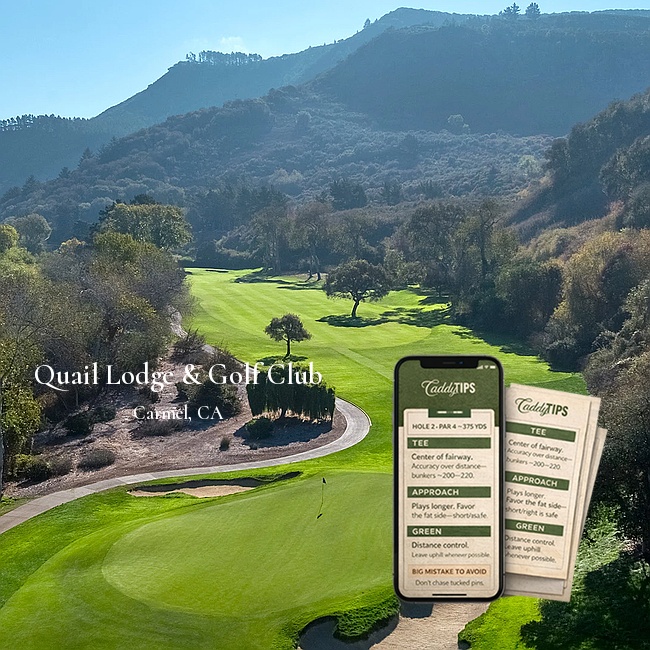 Ocean Dunes Golf Club | AI Powered Insights