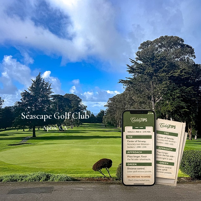 Ocean Dunes Golf Club | AI Powered Insights