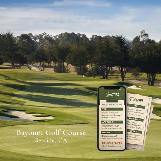 Ocean Dunes Golf Club | AI Powered Insights