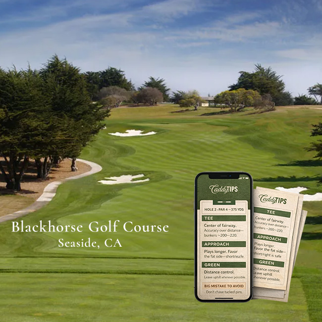 Ocean Dunes Golf Club | AI Powered Insights