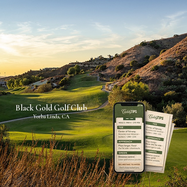Ocean Dunes Golf Club | AI Powered Insights
