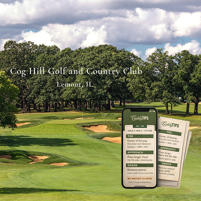 Ocean Dunes Golf Club | AI Powered Insights