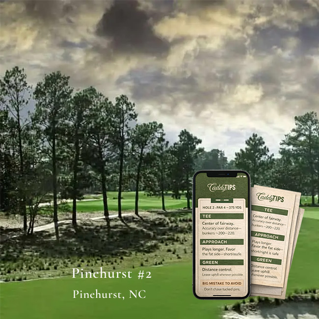 Ocean Dunes Golf Club | AI Powered Insights