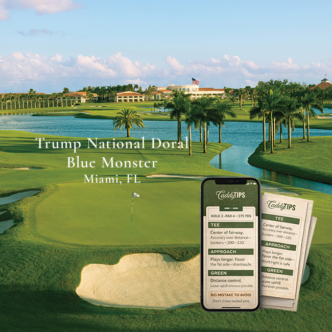 Ocean Dunes Golf Club | AI Powered Insights
