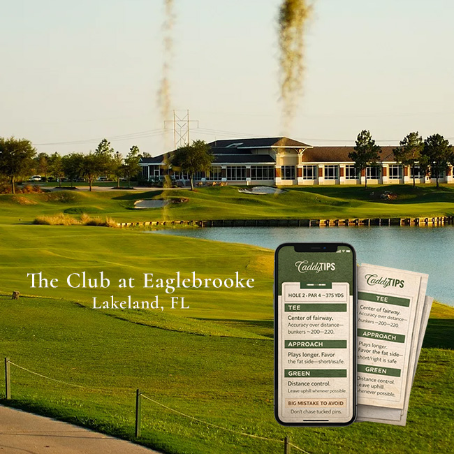Ocean Dunes Golf Club | AI Powered Insights