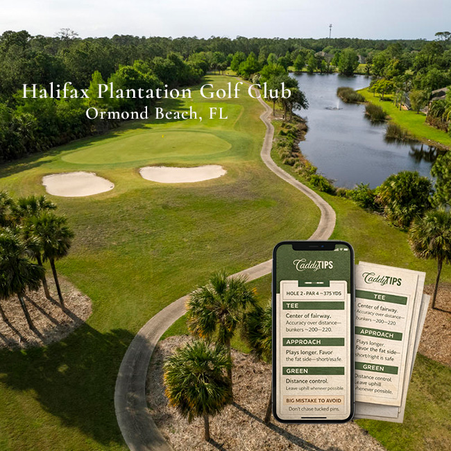 Ocean Dunes Golf Club | AI Powered Insights