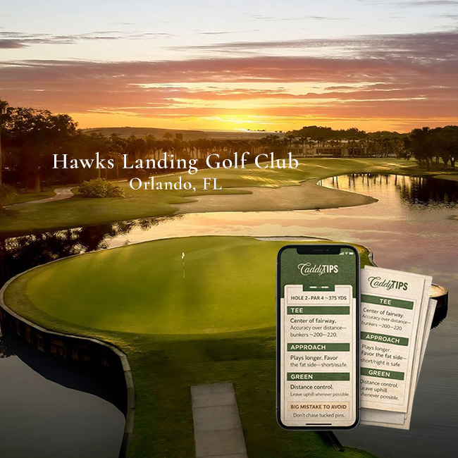 Ocean Dunes Golf Club | AI Powered Insights
