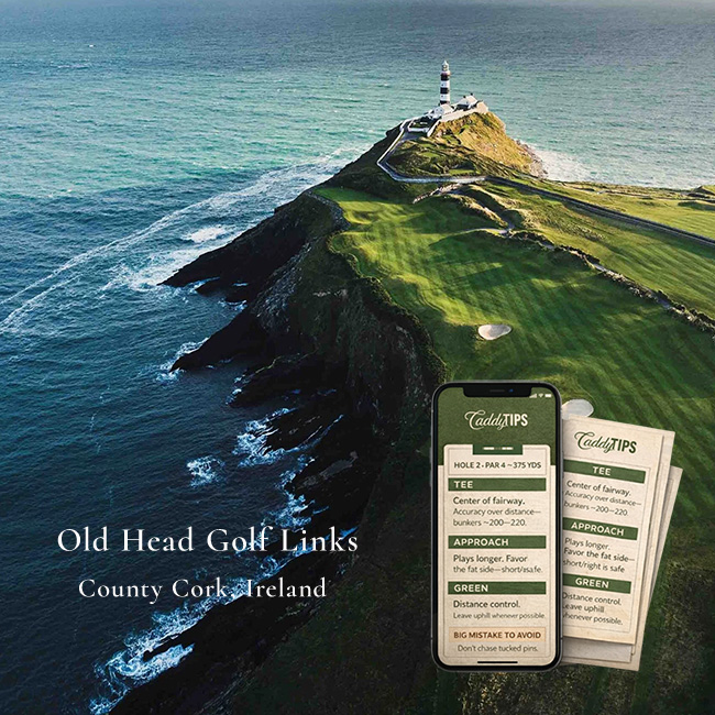 Ocean Dunes Golf Club | AI Powered Insights