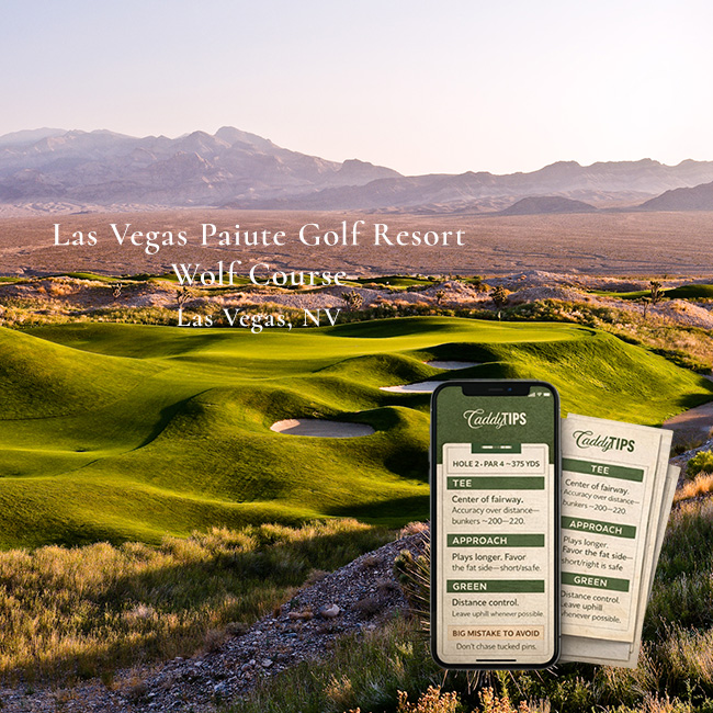 Ocean Dunes Golf Club | AI Powered Insights