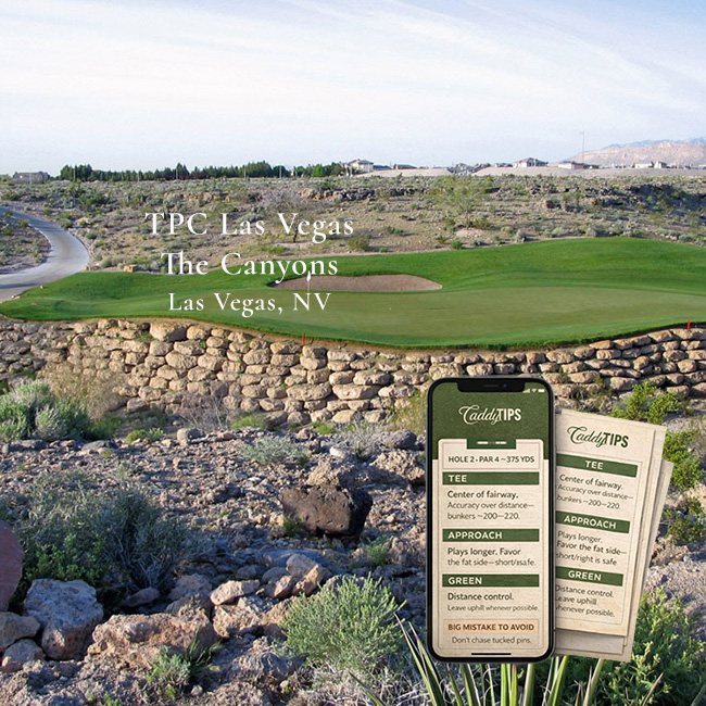Ocean Dunes Golf Club | AI Powered Insights