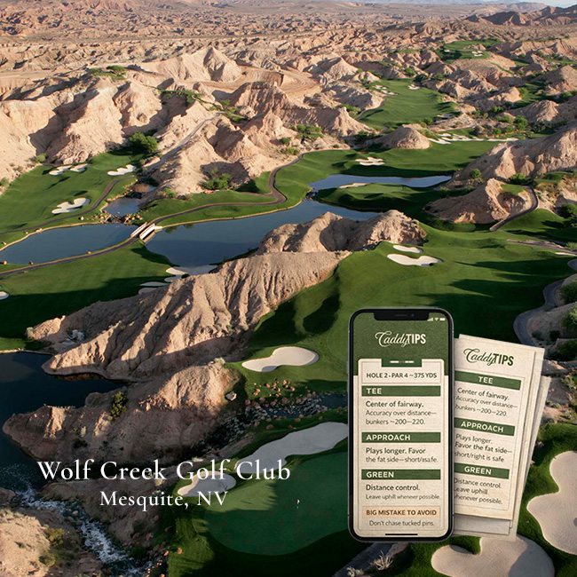 Ocean Dunes Golf Club | AI Powered Insights