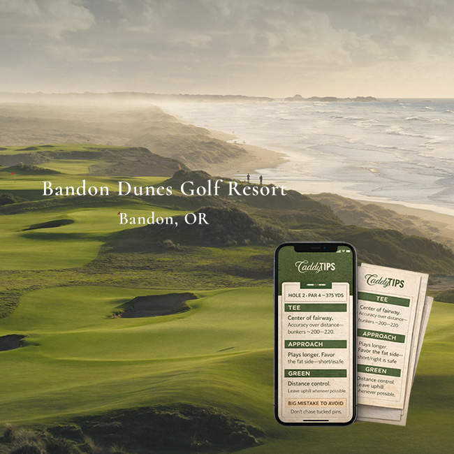 Ocean Dunes Golf Club | AI Powered Insights