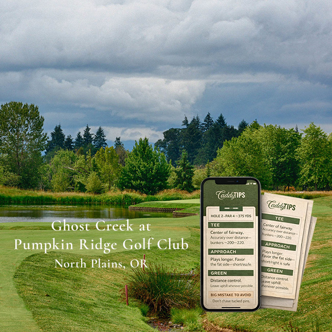Ocean Dunes Golf Club | AI Powered Insights