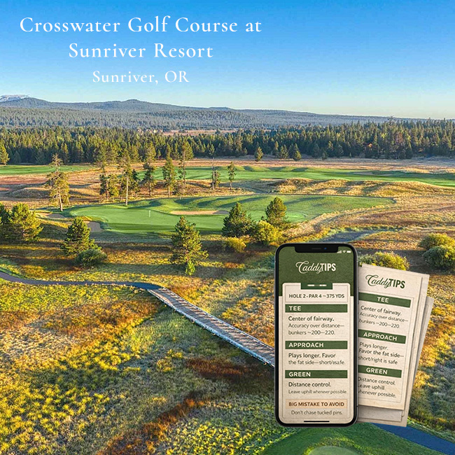 Ocean Dunes Golf Club | AI Powered Insights