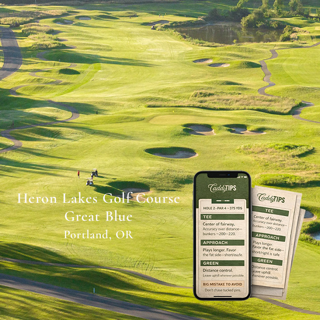 Ocean Dunes Golf Club | AI Powered Insights