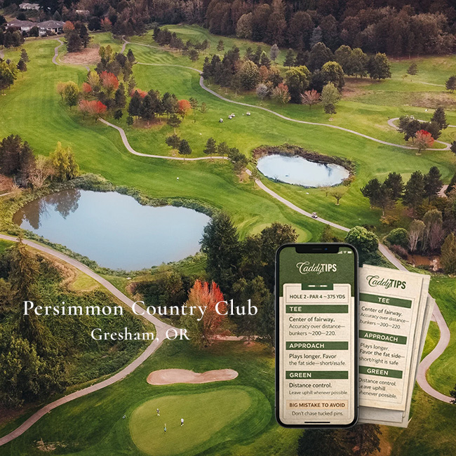 Ocean Dunes Golf Club | AI Powered Insights