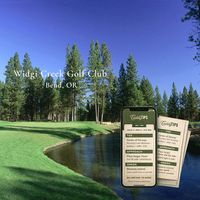 Ocean Dunes Golf Club | AI Powered Insights