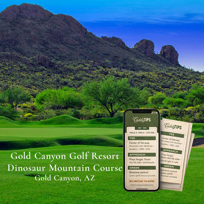 Ocean Dunes Golf Club | AI Powered Insights