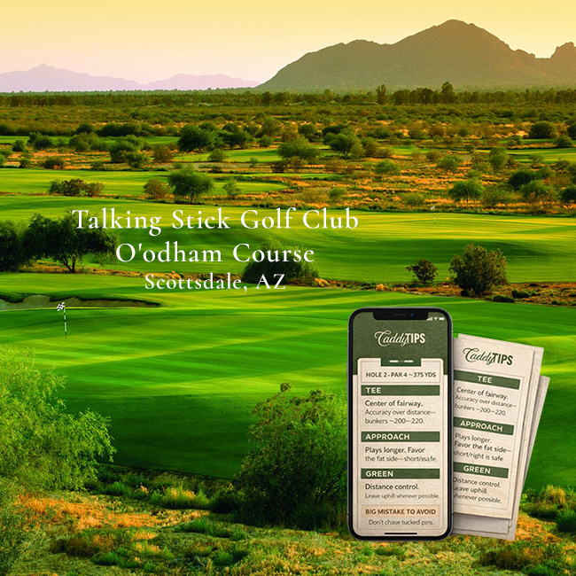 Ocean Dunes Golf Club | AI Powered Insights