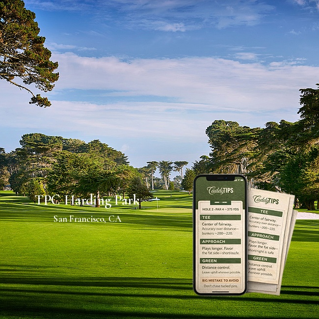 Ocean Dunes Golf Club | AI Powered Insights