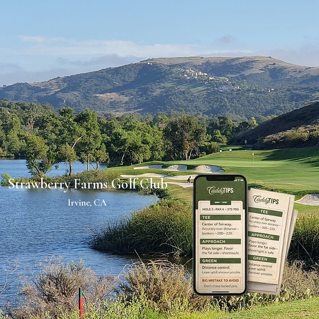 Ocean Dunes Golf Club | AI Powered Insights