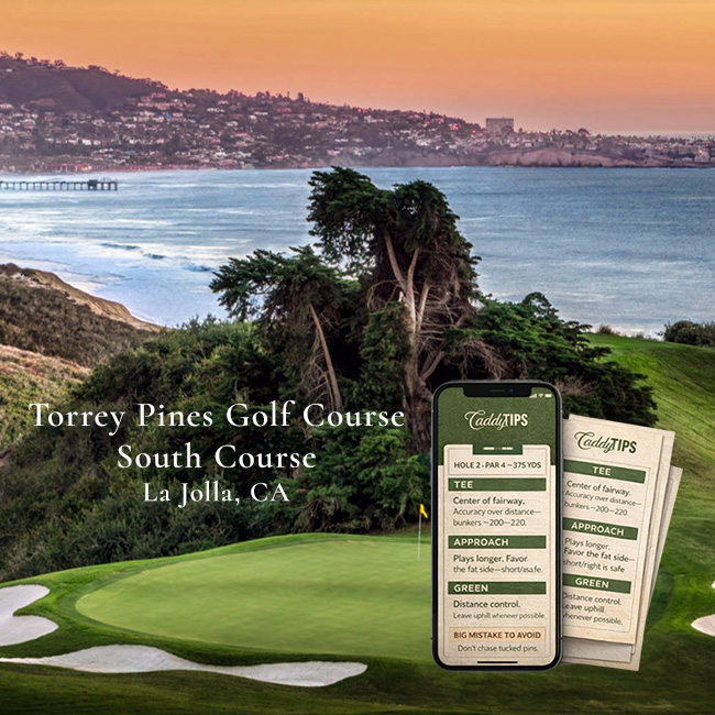 Ocean Dunes Golf Club | AI Powered Insights