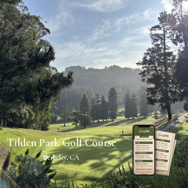 Ocean Dunes Golf Club | AI Powered Insights