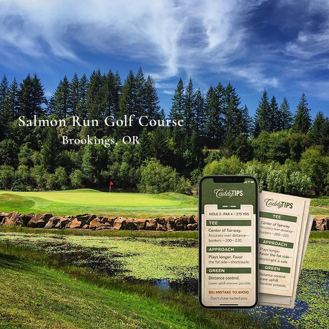 Ocean Dunes Golf Club | AI Powered Insights