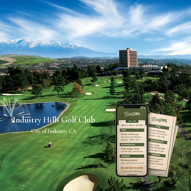 Ocean Dunes Golf Club | AI Powered Insights