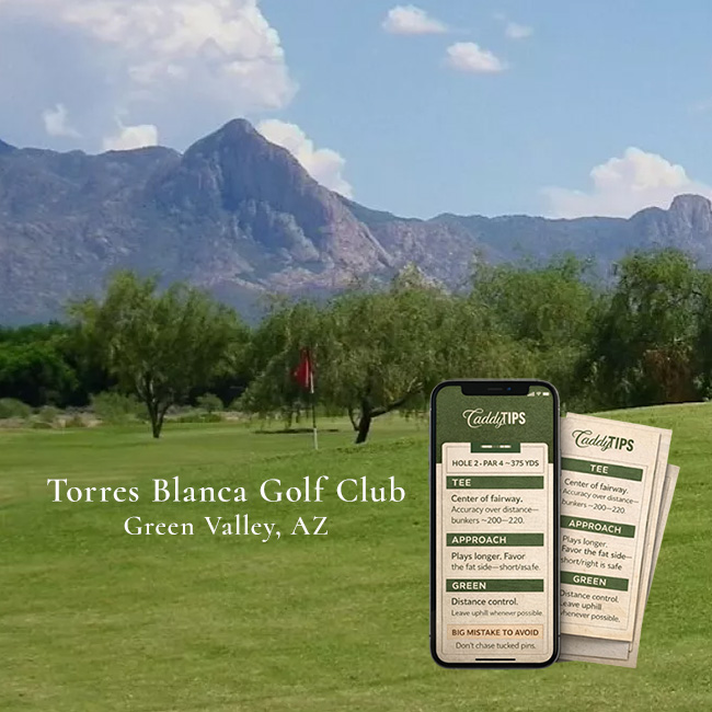 Ocean Dunes Golf Club | AI Powered Insights