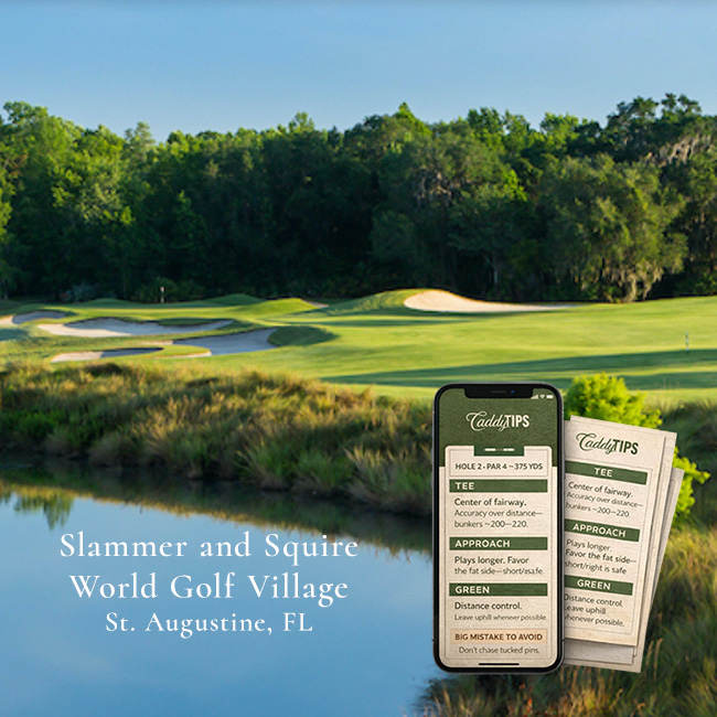 Ocean Dunes Golf Club | AI Powered Insights