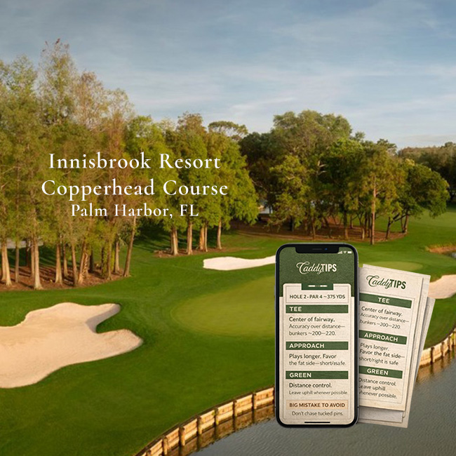 Ocean Dunes Golf Club | AI Powered Insights