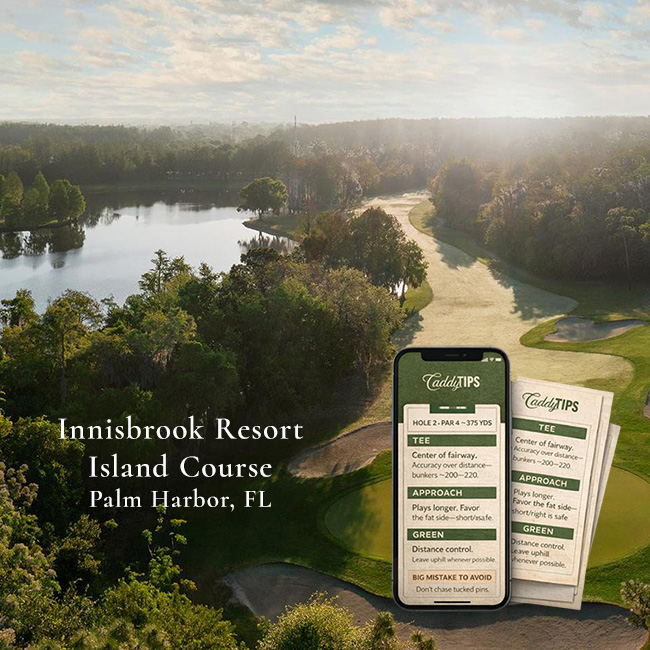 Ocean Dunes Golf Club | AI Powered Insights